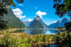 Milford Sound Scenic Over Head and Middle Earth Waterfalls Heli Hike (exclusive access)