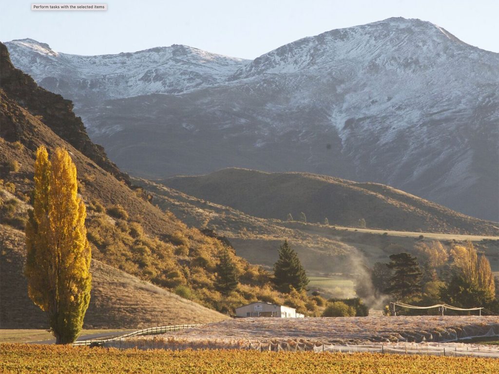 Mt Rosa vineyard near Queenstown on a private heli wine experience with Alpine Luxury Tours