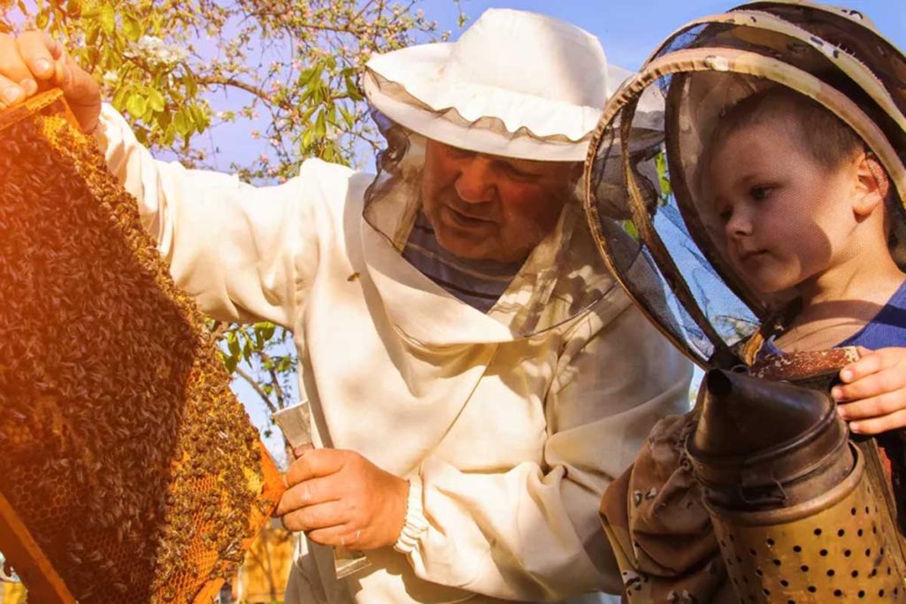 Heli beekeeping experience looking at hives in Queenstown