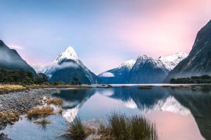 Milford Sound Private Tour with Boat Cruise