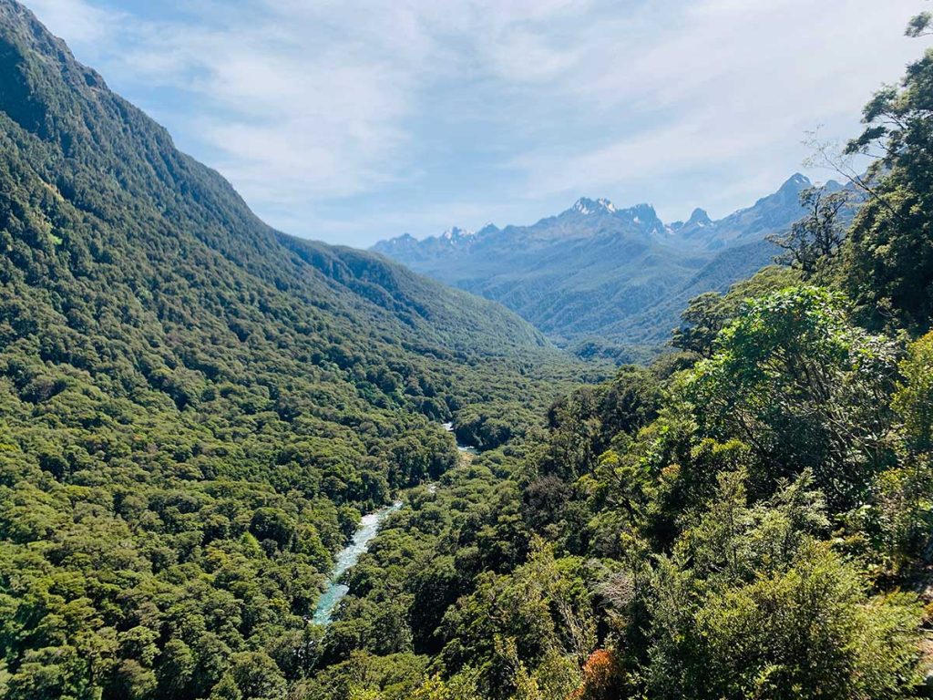 View of Hollyford Valley on a private luxury tour to Milford Sound